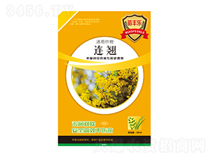 �B�NľϬ����ˎ�Č���̎�턩-���S��-�瘷���r�I