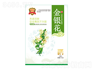 ���y����ˎ�Č���̎�턩-���S��-�瘷���r�I