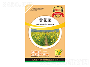 �S����������ó��݄�-���S��-�瘷���r�I