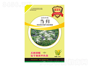 ���w���ο���ˎ�Č���̎�턩-���S��-�瘷���r�I