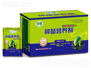 �N��I�B��-��Ʒ����