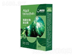 �������Ｄ����-������