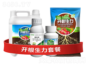 �_�������ײ�H-�ƴ�Ƽ�