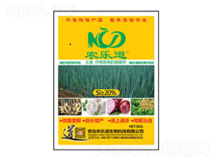 ��������I�B���{�펟-�r��������