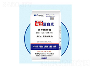 ΢�������-���~������-�r(n��ng)��������