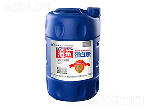 �����ٹ�����-���~������-�r��������