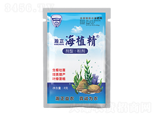 ����ֲ��ˮ�ܷ���-�����ֲ��-������r