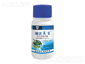 8.0�|/mL�޴�ѿ�ߗU��Һ�w-�������-������r