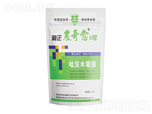 ����ľù��-����r����5̖-������r