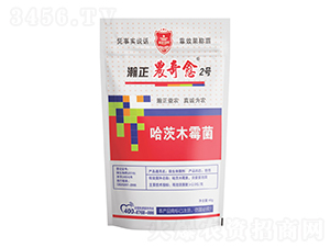 ����ľù��-����r����2̖-������r