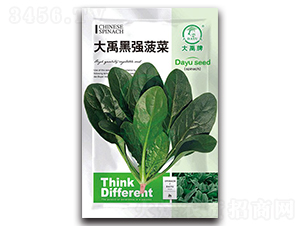 �����ڏ����˷N��-�����N�I