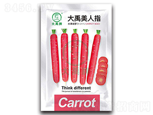 ��������ָ�}���N��-�����N�I