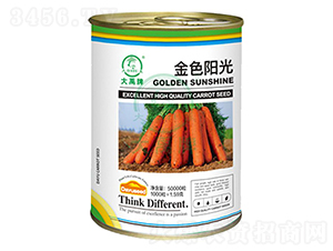 ��ɫꖹ���}���N��-�����N�I