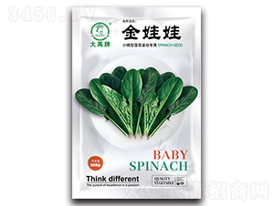 �����޲��˷N��-�����N�I