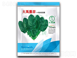 ����ī�Ʋ��˷N��-�����N�I