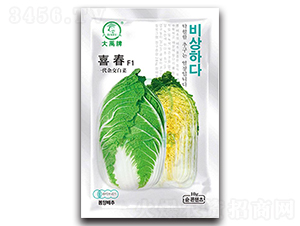 ϲ����ײ˷N��-�����N�I