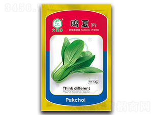 �Q�Ĵ�ײ˷N��-�����N�I