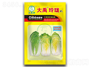 �����ᭇ��ײ˷N��-�����N�I