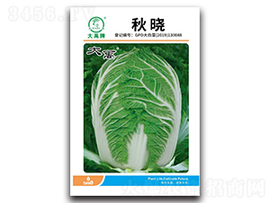 ��Դ�ײ˷N��-�����N�I