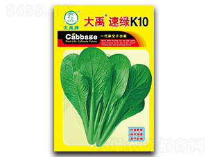 �����پGK10С�ײ˷N��-�����N�I