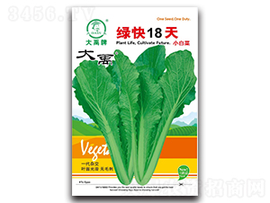 �G��18��С�ײ˷N��-�����N�I