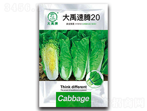 �������v20��ײ˷N��-�����N�I