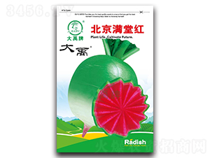 �����M�üt�}���N��-�����N�I