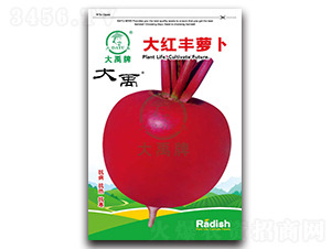 ��t�S�}���N��-�����N�I