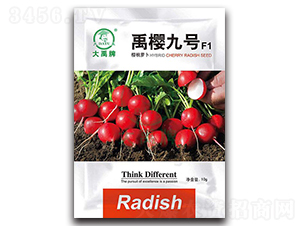 ��Ѿ�̖�����}���N��-�����N�I