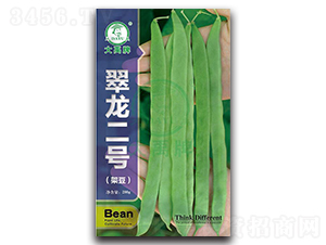 翠龍二號-架豆種子-大禹種業(yè)