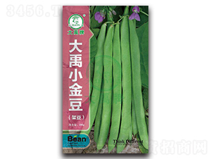 大禹小金豆-架豆種子-大禹種業