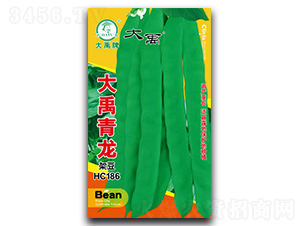 大禹青龍-架豆種子-大禹種業