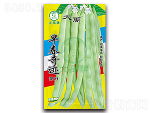 �紺���E-�ܶ��N��-�����N�I