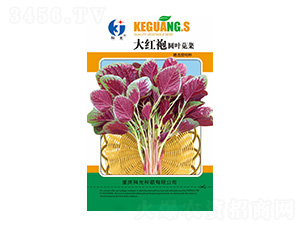 ��t�ۈA�~�{��-�ƹ�N��