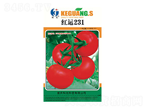 �t�\231-�ƹ�N��