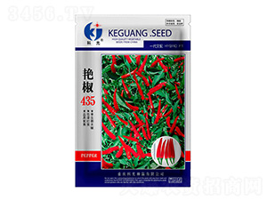 艷椒435辣椒種子-科光種苗