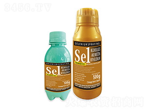 ���������������������1̖-�����r��