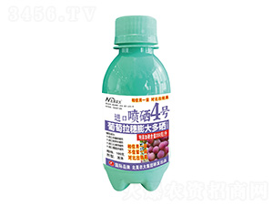 100�����������������M�ڇ���4̖-�����r��