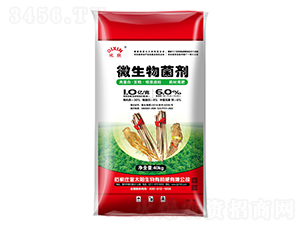 ΢���������ˎ���÷ʣ�-����-��̫�(y��ng)