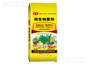 1�|΢����������Ⱥ����S���ػ��|�����T�����ᣩ-����-��̫�