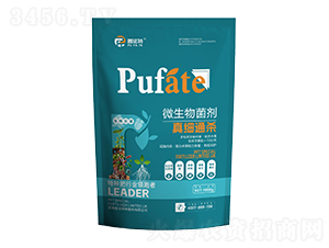 ΢�������-�漚ͨ��-�շ���