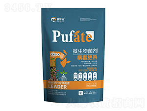 ΢�������-�����^��-�շ���