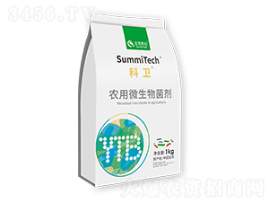 �r��΢�������-���l-ס�̷���