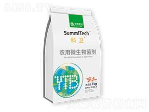 �r��΢������������wľùһ̖��-���l-ס�̷���