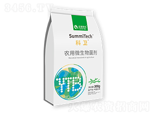 �r��΢����������ž���̖��-���l-ס�̷���