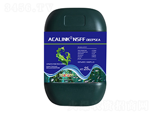 ����NSFF-��˹�r