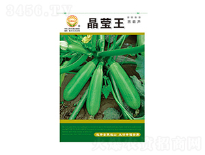 西葫蘆種子-晶瑩王-太樂種業