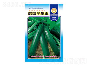 西葫蘆種子-韓國早生王-太樂種業