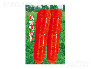 �}���N��-�Ŵ���}��-̫���N�I