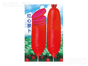 �}���N��-�t���}��-̫���N�I